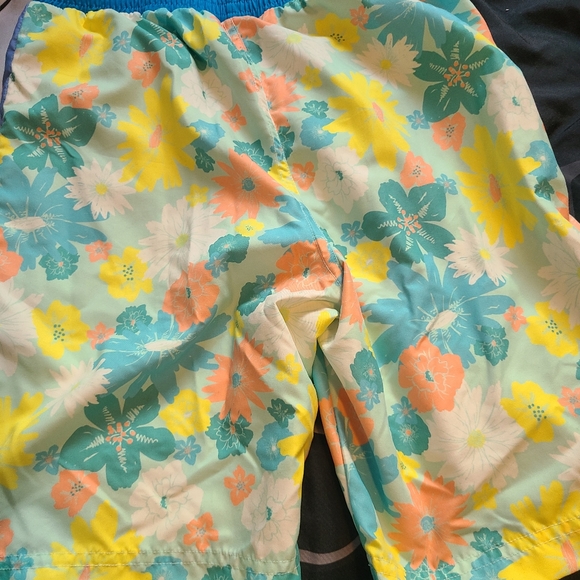Boys size 10 Matilda Jane swim trunks - Picture 2 of 2